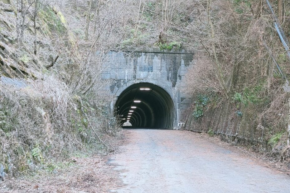 廃道成木街道のトンネル